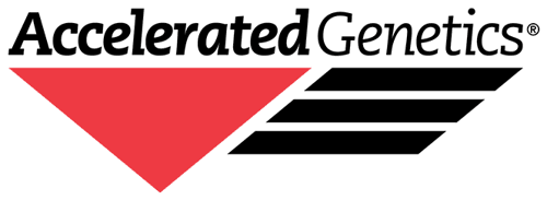 Accelerated Genetics Accelerated Genetics